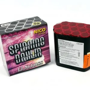 nico-spinning-dahlia