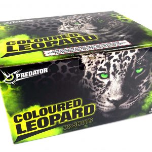 lesli-coloured-leopard