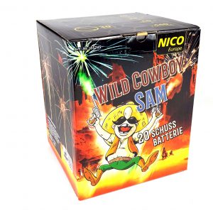 nico-wild-cowboy-sam