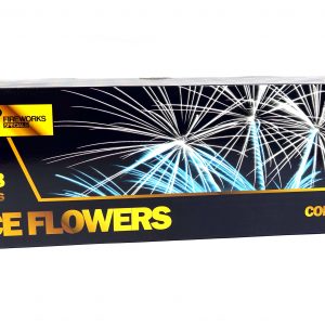 fws-ice-flowers