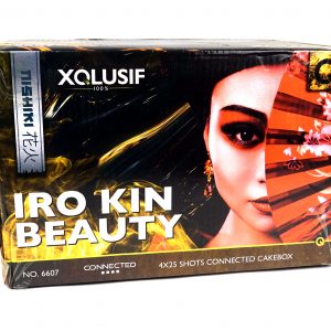 lesli-iro-kin-beauty