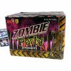 pyromoravia-zombie-party