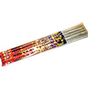 panda-römisches-licht20