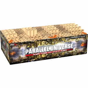 lesli-paralel-universe