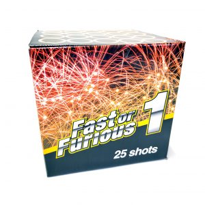 evolution-fast-or-furious-1