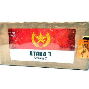 lesli-ataka-7