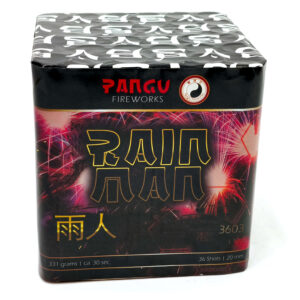 gbv-rain-man