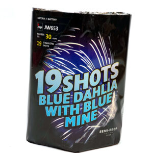 jorge-blue-dahlia