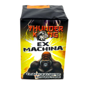 lesli-ex-machina